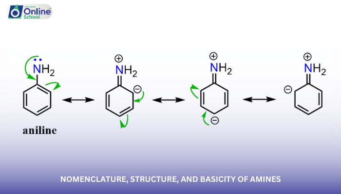 Lesson 08: Nomenclature, Structure, and Basicity of Amines